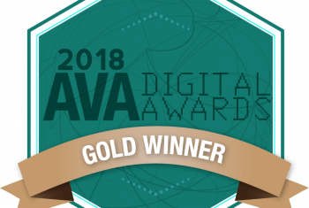 The SEO Works are the 2018 AVA Digital Awards gold winner