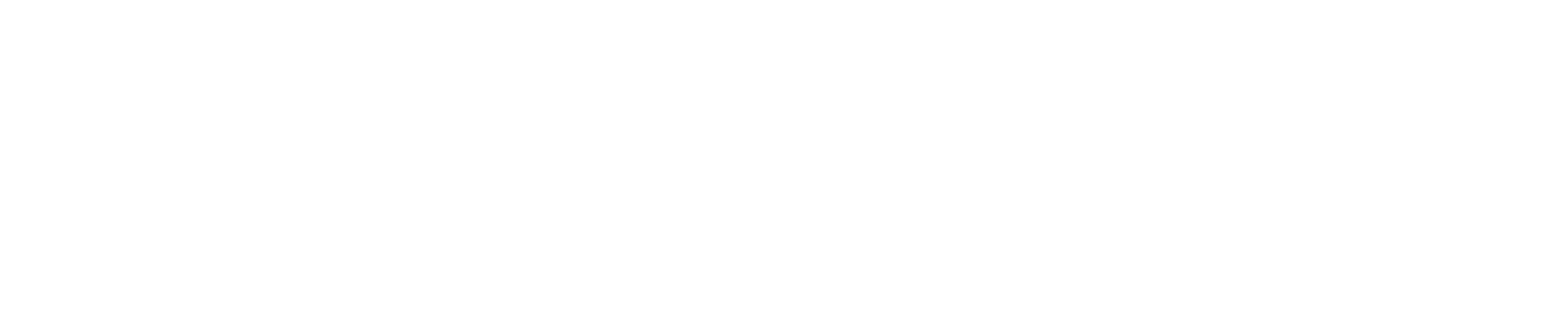 dainese brand logo