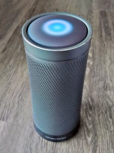 voice search smart speaker