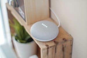 voice search- Google home