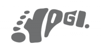 YPGI brand logo