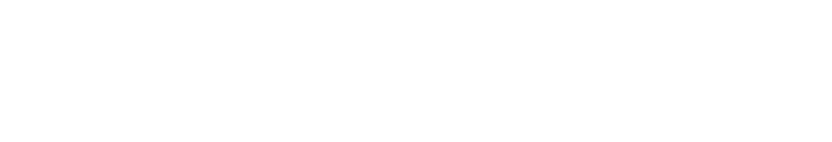 Flooring Village logo