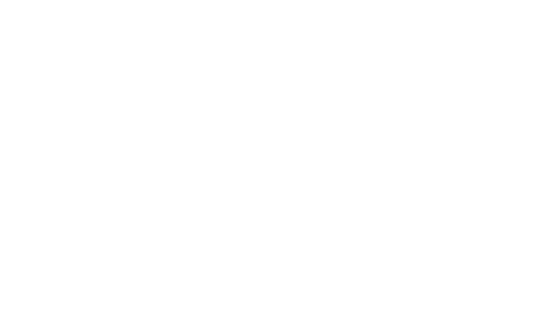 Zee case study logo